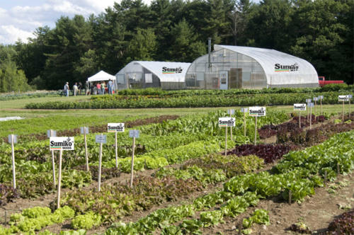 johnny's research farm (1)